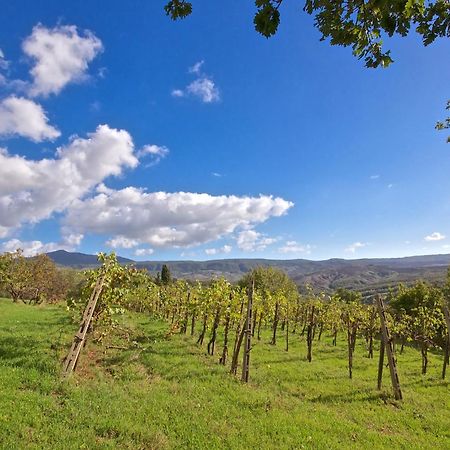 Agriturismo Corvaia Radicofani Luaran gambar
